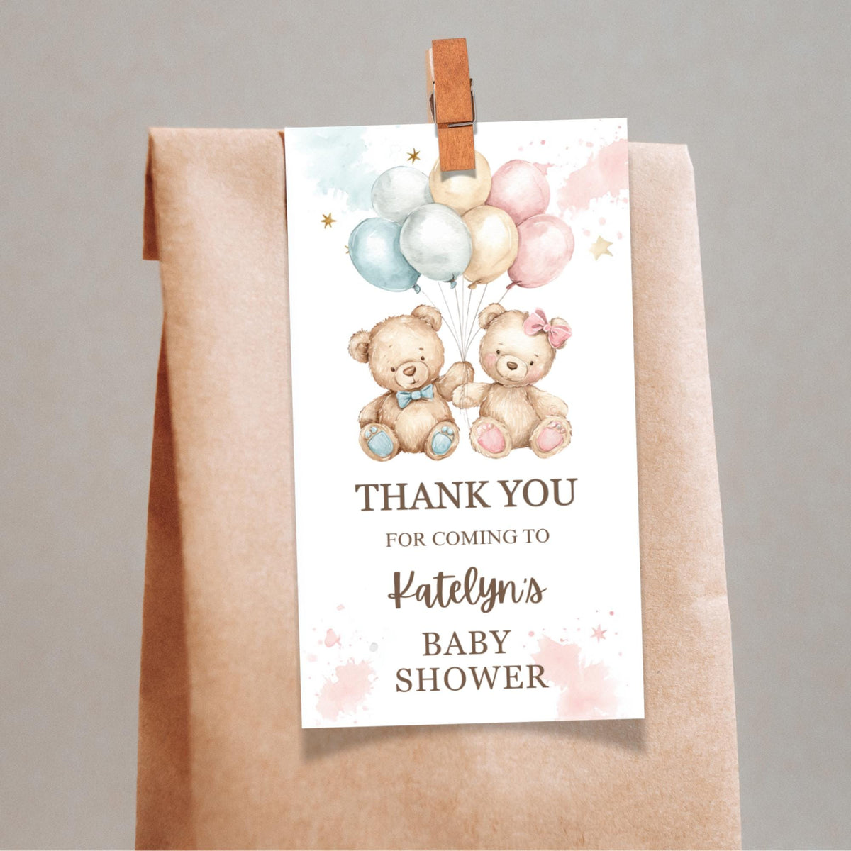 Teddy Bear Gender Reveal Party Kit Bundle