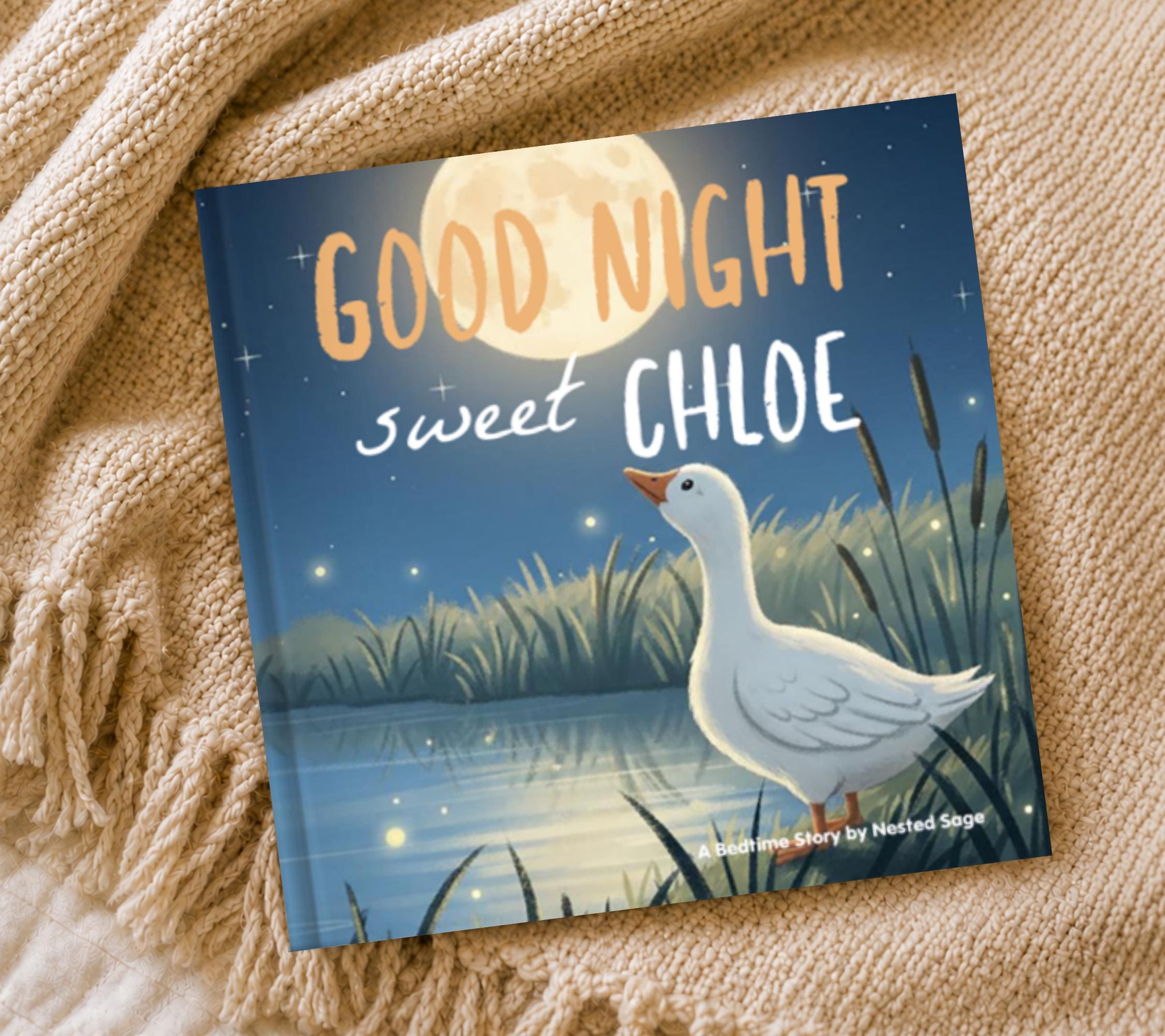 Personalized Silly Goose Bedtime Story