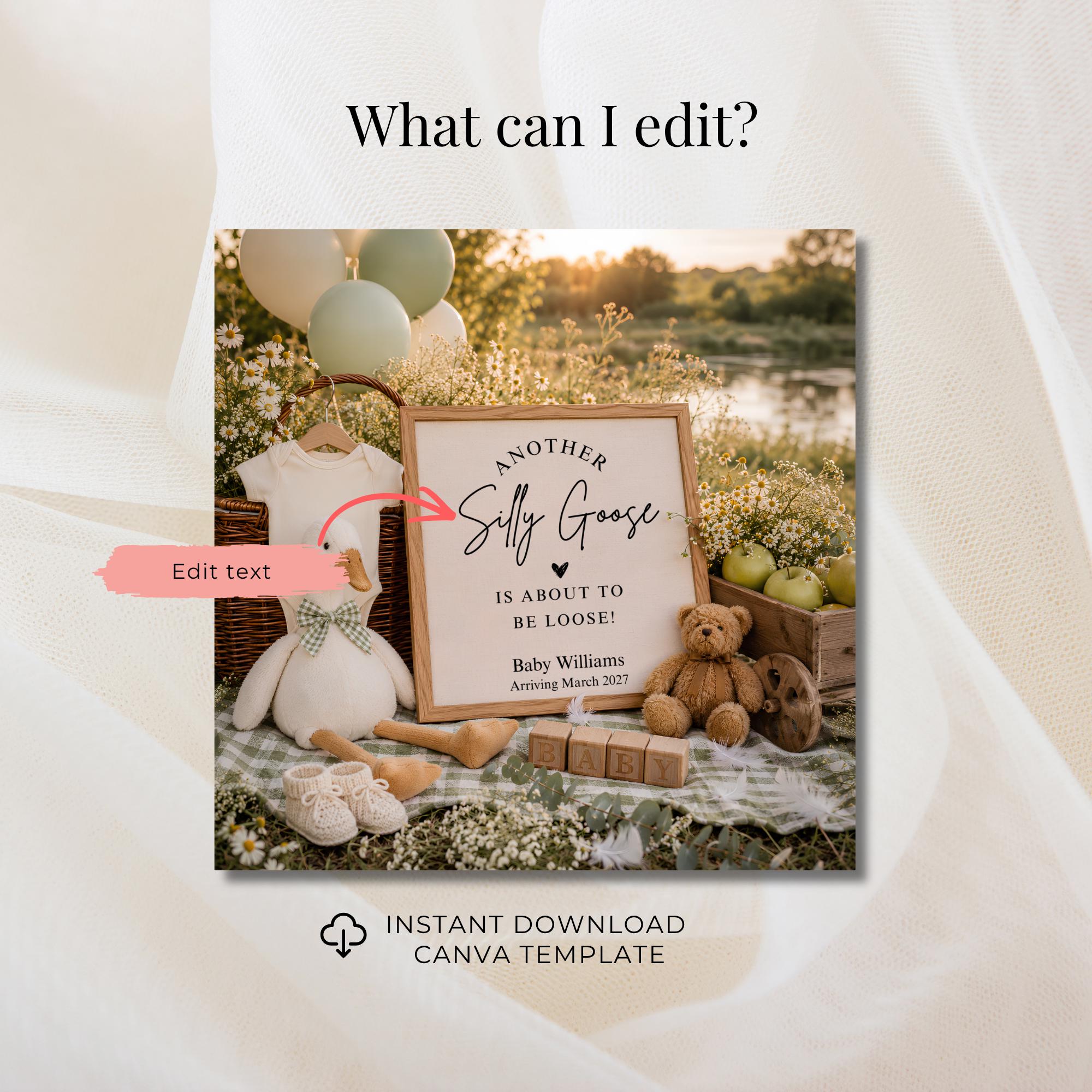 Digital Silly Goose Pregnancy Announcment Template
