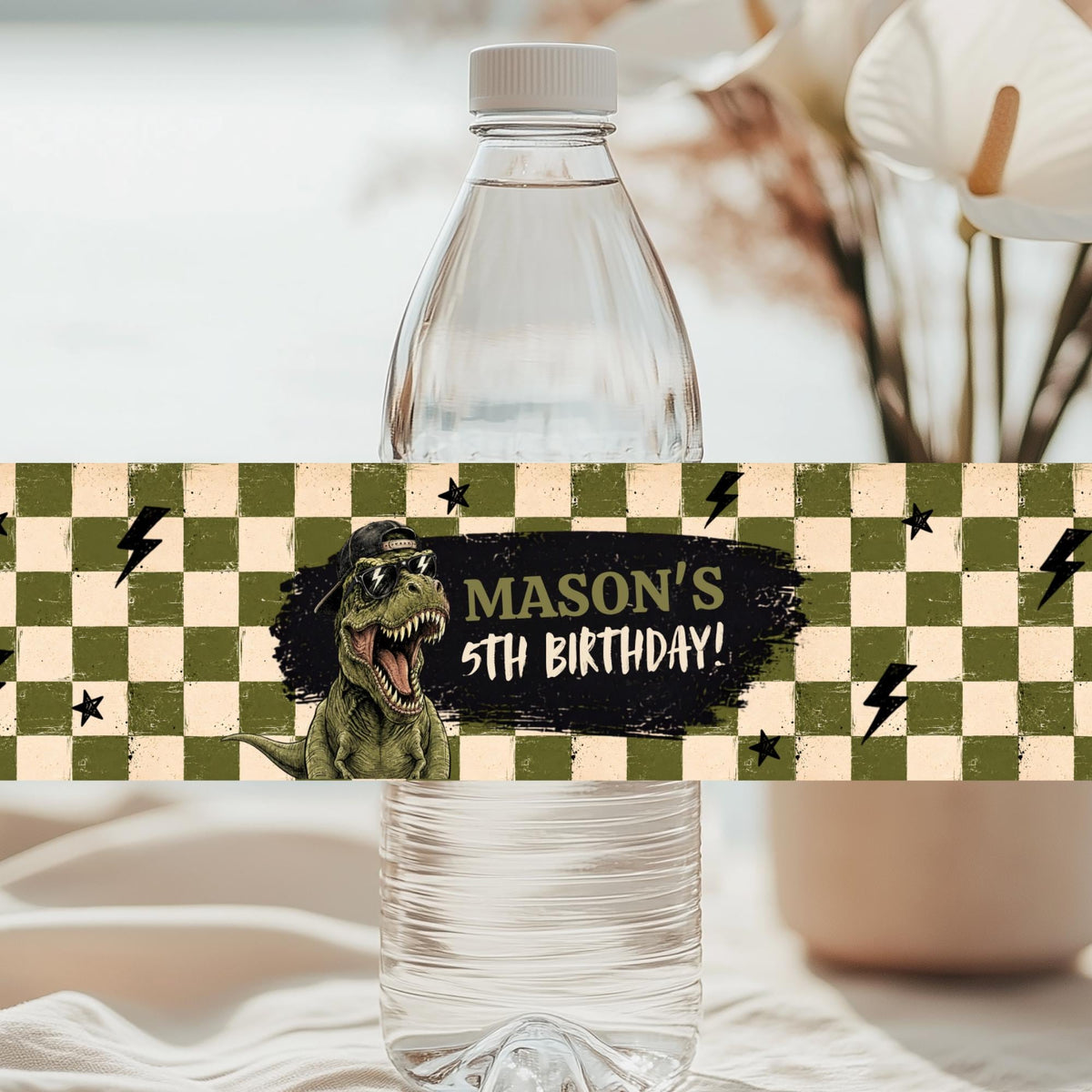 Five is a Vibe Dinosaur Birthday Bundle