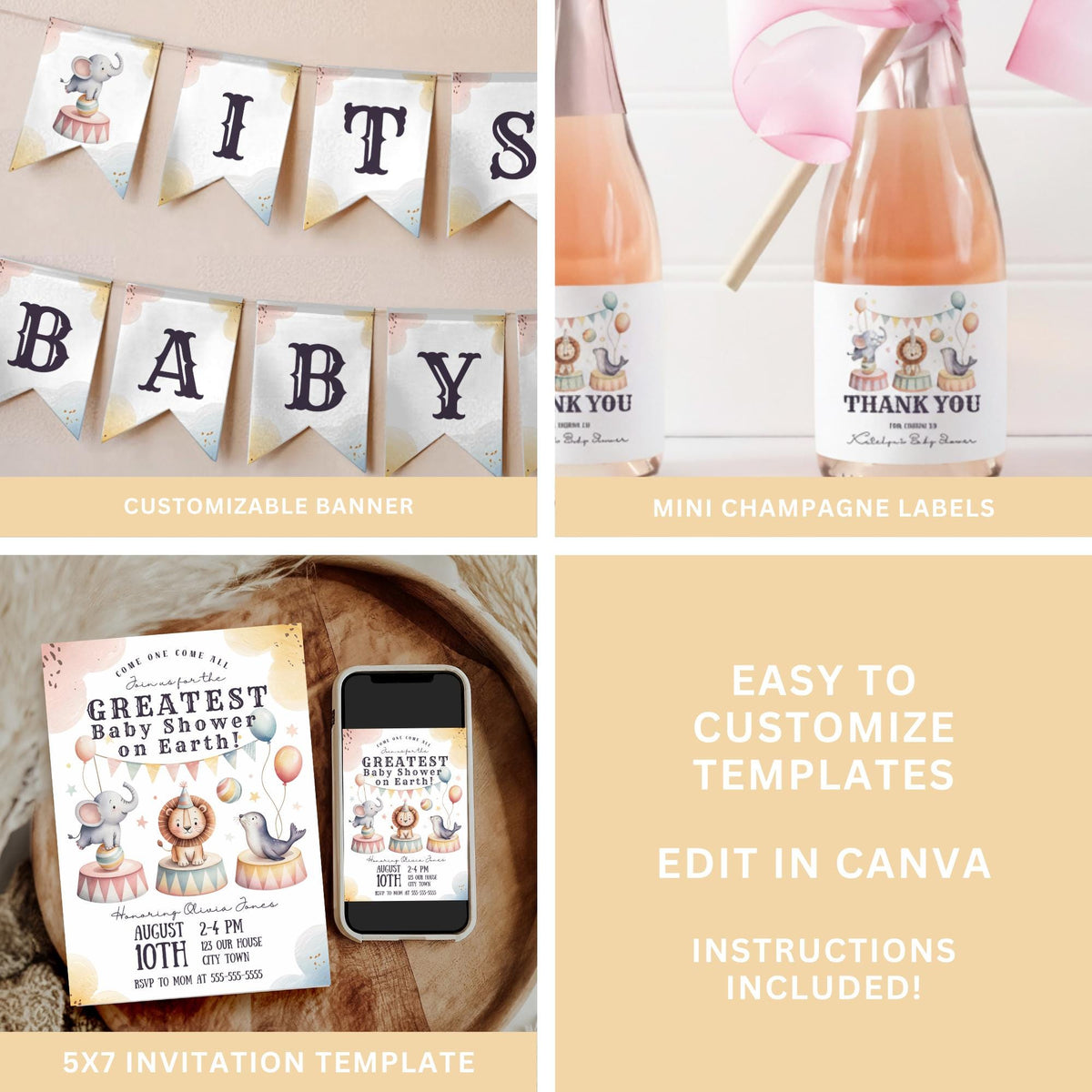 Circus Baby Shower Bundle